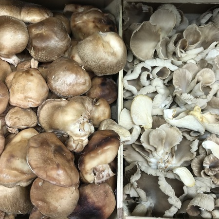 Boiteau Champignon d'Anneville