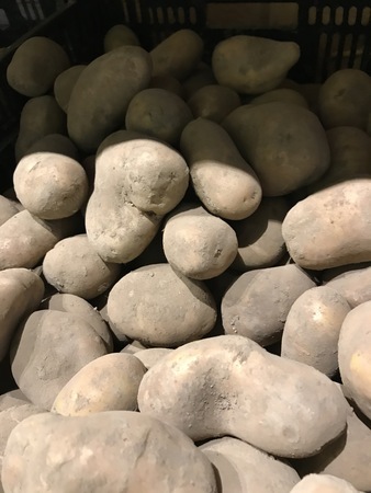 Earl Ferme de Saint Maurice