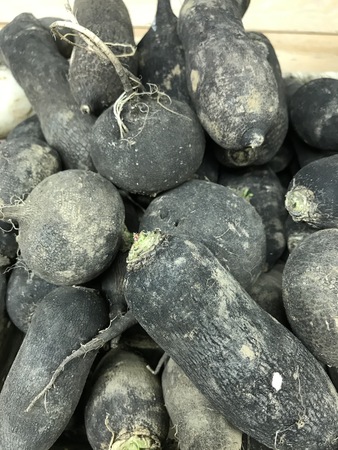 Clos Masure du P'tit Caux