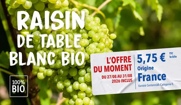 Raisin blanc sans pépins bio à 5,75 € le kilo Raisin blanc sans pépins bio à 5,75 € le kilo