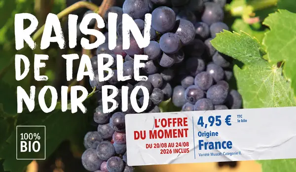 Raisin noir Muscat bio à 4,95 € le kilo